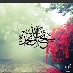 Meet your Posher, Faiza